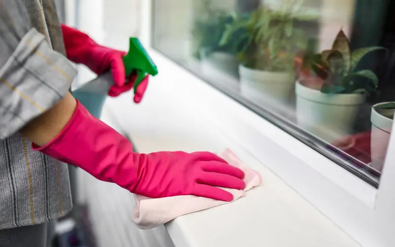 Close-up of hands in pink gloves using spray bottle and cloth indoors.