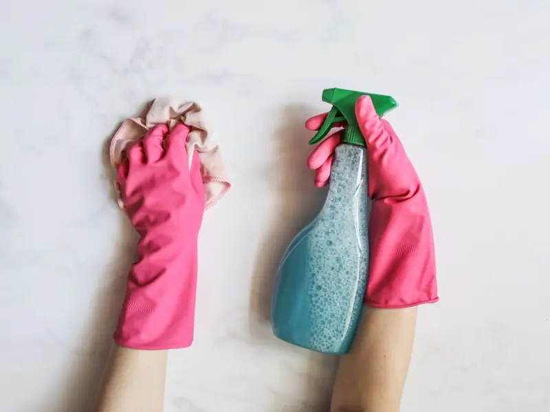 A pair of hands in pink gloves are cleaning with a spray bottle on a white background.