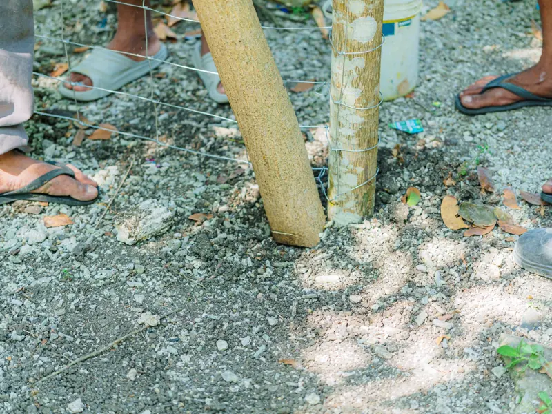 Workers installing a wooden fence post in a sunny outdoor area.