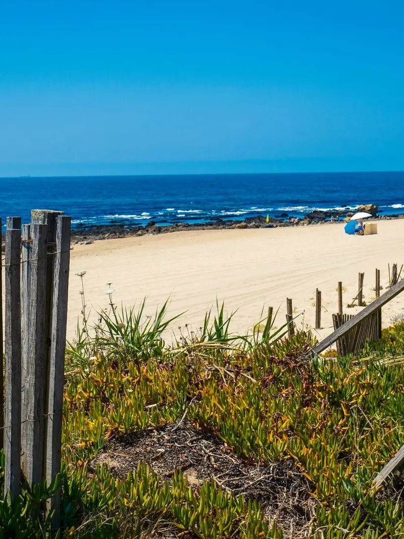 Serene coastal landscape in Porto featuring sandy beach, blue ocean, and wooden fences under a clear sky.