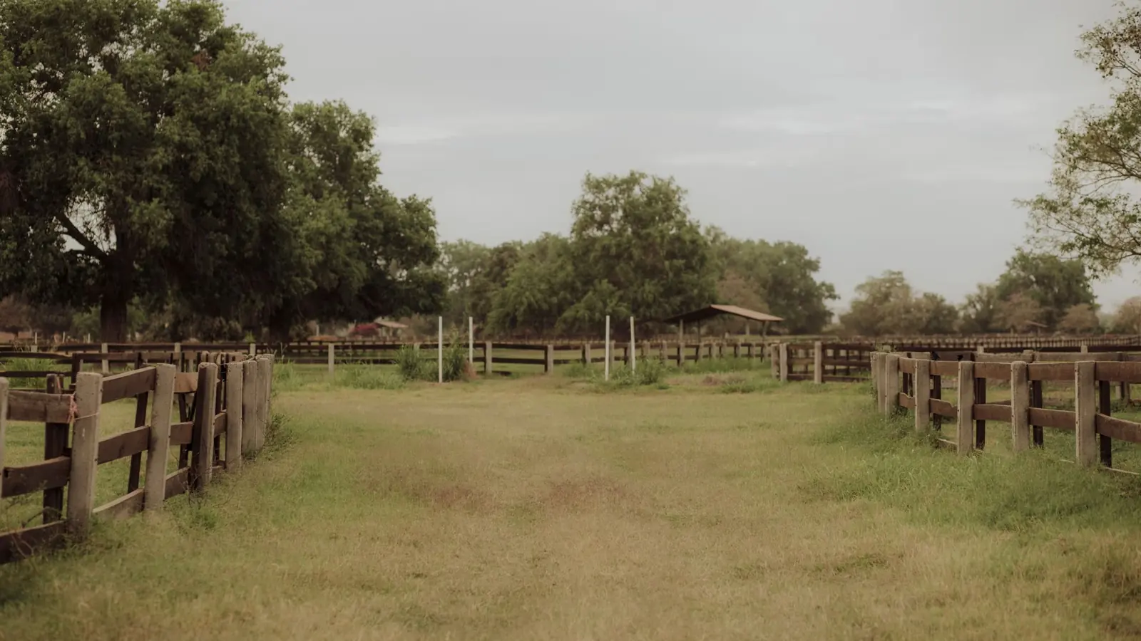 Serene view of an empty ranch with wooden fences and lush green trees under a cloudy sky.