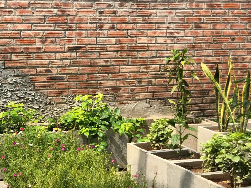 A vibrant urban garden with planters against a sunlit brick wall.