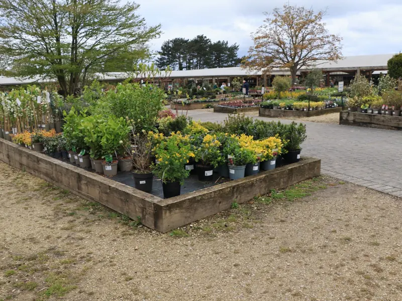 Wide view of a plant nursery with diverse greenery in pots under cloudy sky.