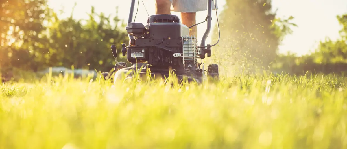 Close-up of a person mowing the lawn with a gas lawn mower on a sunny summer day.