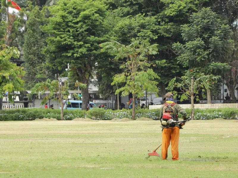 A worker cutting grass in a park, showcasing professional lawn care with greenery in the background.