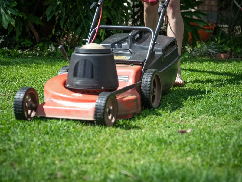 A person operating a lawn mower on green grass, featuring gardening tools and lush foliage.