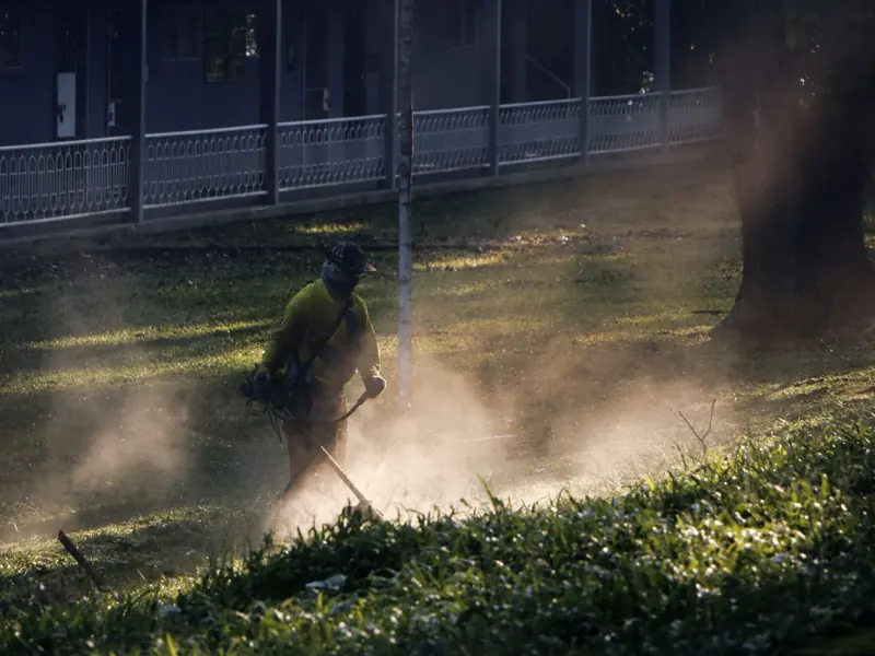 A man cuts grass in the Philippines, creating a dust cloud in the sunlight.