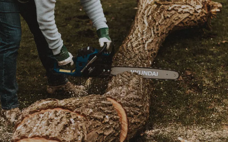 Side view of faceless male worker sawing long curvy tree trunk with professional electric chainsaw on grassy terrain in countryside