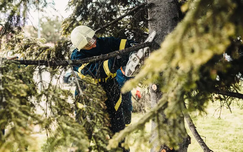 Firefighter in protective gear using chainsaw to cut tree branches outdoors.