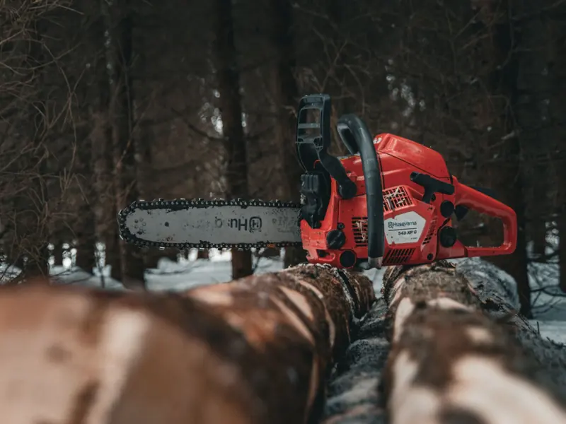 Red chainsaw placed on tree logs in a snow-covered forest, capturing a winter timber scene.